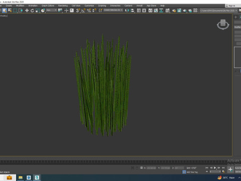 Equisetum hyemale - Horsetail Reed 3D Model