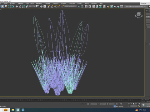 Eremurus - Foxtail LilyOrange Model 3D