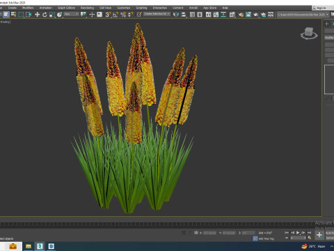 Eremurus - Foxtail LilyOrange Model 3D