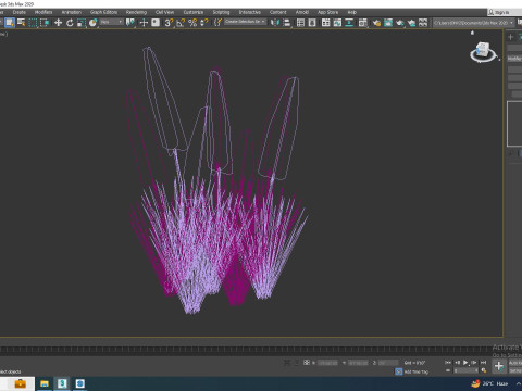Eremurus - Foxtail Lily Pink Modello 3D