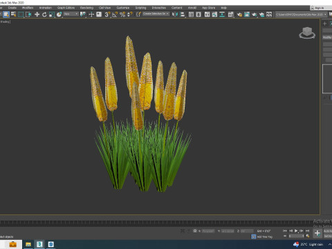 Eremurus - Foxtail Lily Yellow Modelo 3D