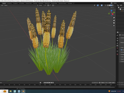 Eremurus - Foxtail Lily Yellow Modelo 3D