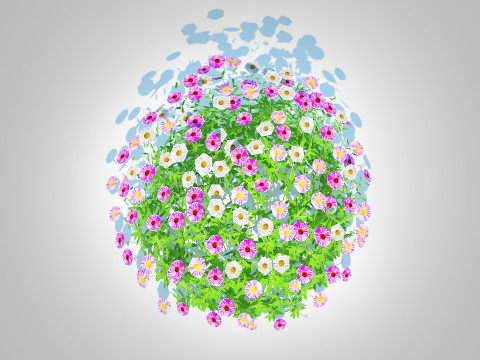 Erigeron karvinskianus 3D Model