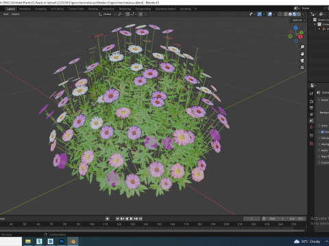 Erigeron karvinskianus 3D Model