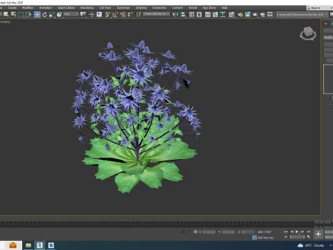 Eryngium planum - Sea Holly 3D Model