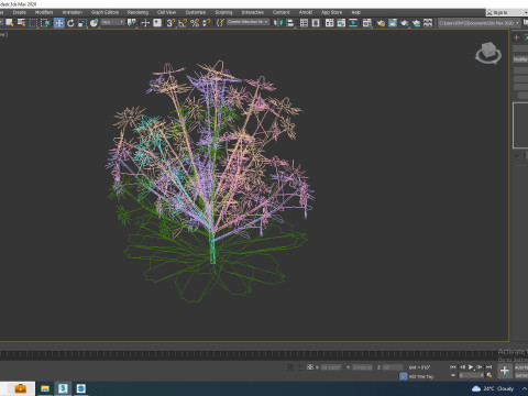 Eryngium planum - Sea Holly Modello 3D