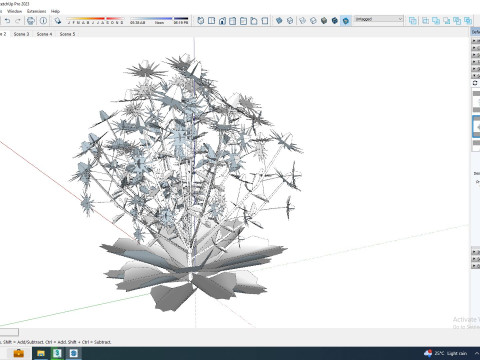 Eryngium planum - Sea Holly Modello 3D