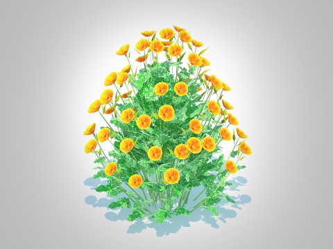 Eschscholzia californica - California poppy Model 3D