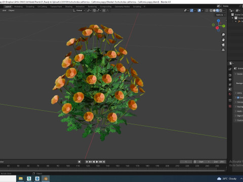 Eschscholzia californica - California poppy Model 3D