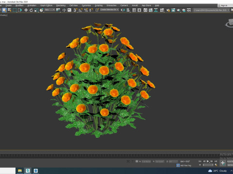 Eschscholzia californica - California poppy Model 3D