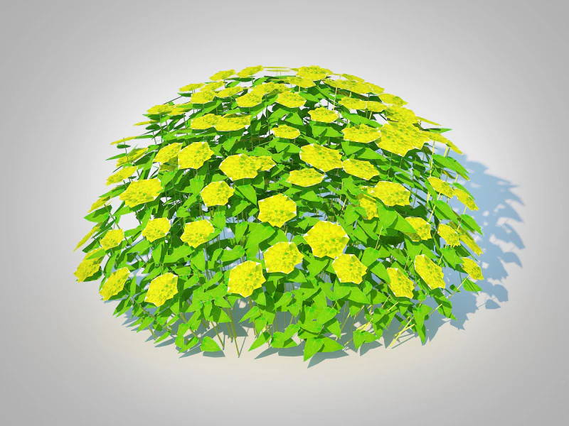 Euphorbia Spurge 3D Model .c4d .max .obj .3ds .fbx .stl .blend 