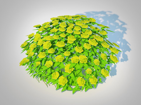 Euphorbia Spurge 3D 模型