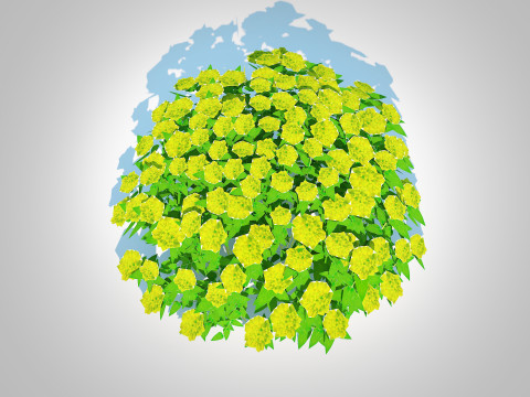 Euphorbia Spurge 3D 模型