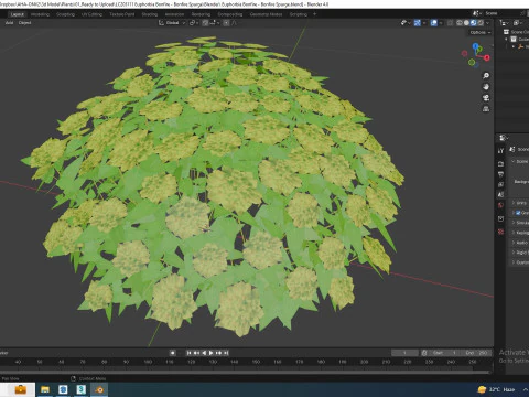 Euphorbia Spurge 3D Model