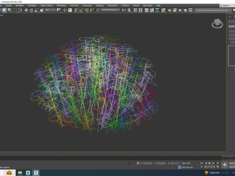 Euphorbia Spurge 3D 模型