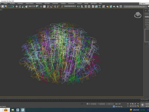 Euphorbia Spurge 3D Model