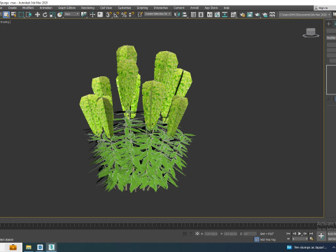 Euphorbia characias wulfenii - Evergreen Spurge Model 3D