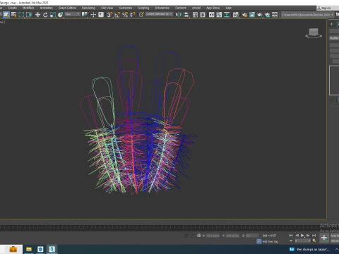 Euphorbia characias wulfenii - Evergreen Spurge 3D Model