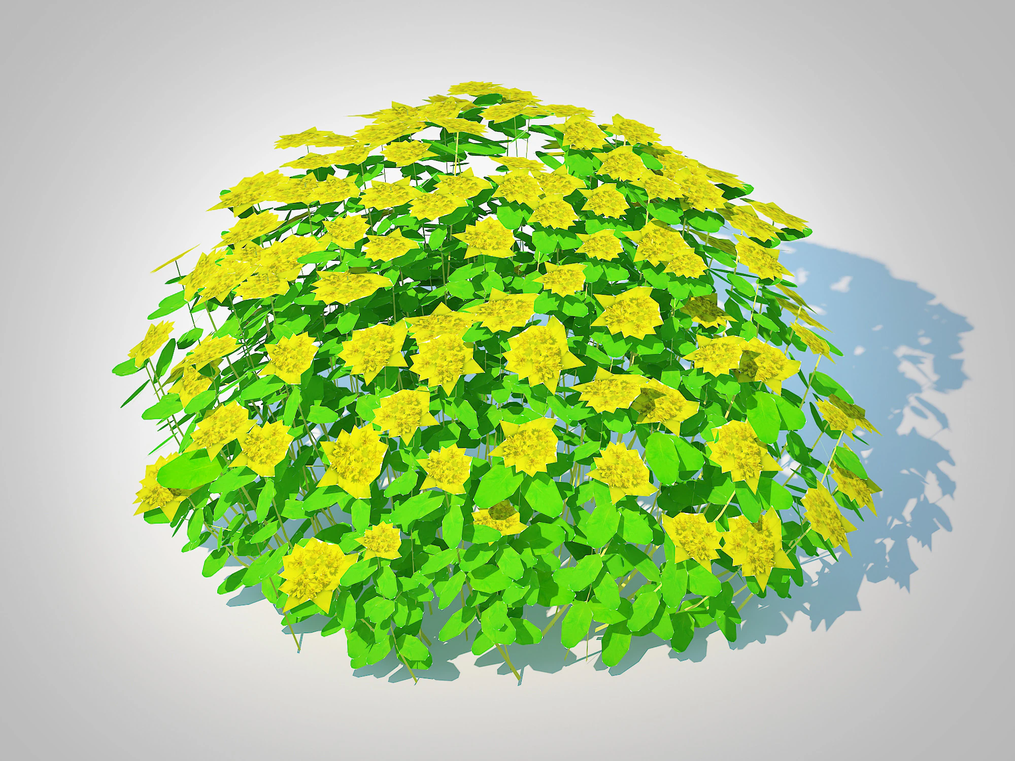 Euphorbia polychroma - Cushion Spurge 3D Model .c4d .max .obj .3ds .fbx .stl .blend