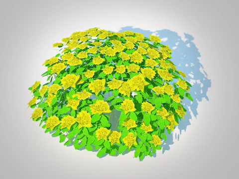 Euphorbia polychroma - Cushion Spurge 3D Model