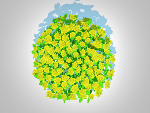 Euphorbia polychroma - Cushion Spurge 3D 模型