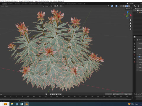 Euphoriba - Helena Model 3D