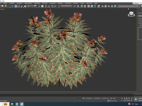 Euphoriba - Helena Model 3D