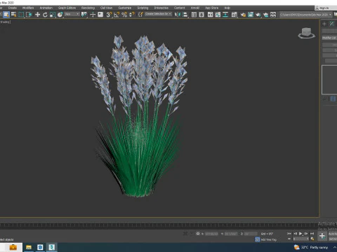 Festuca - Blue fescue 3D Model