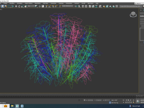 Gaillardia - Blanket Flower Modèle 3D