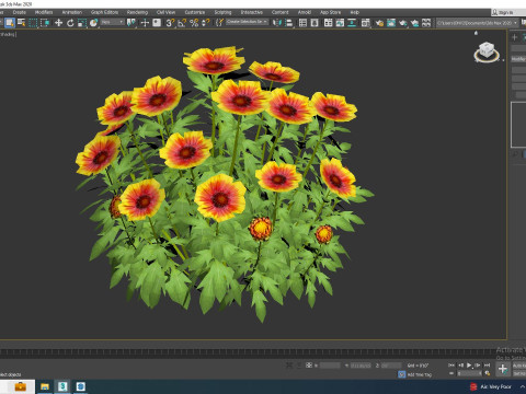 Gaillardia - Blanket Flower Modèle 3D