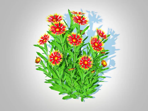 Gaillardia pulchella 3D Model