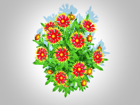 Gaillardia pulchella 3D Model