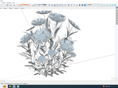 Gaillardia pulchella 3D Model
