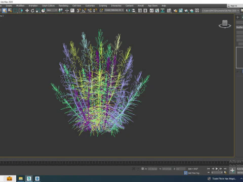 Gaura lindheimeri White 3D Model