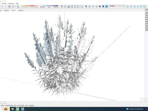 Gaura lindheimeri White 3D Model