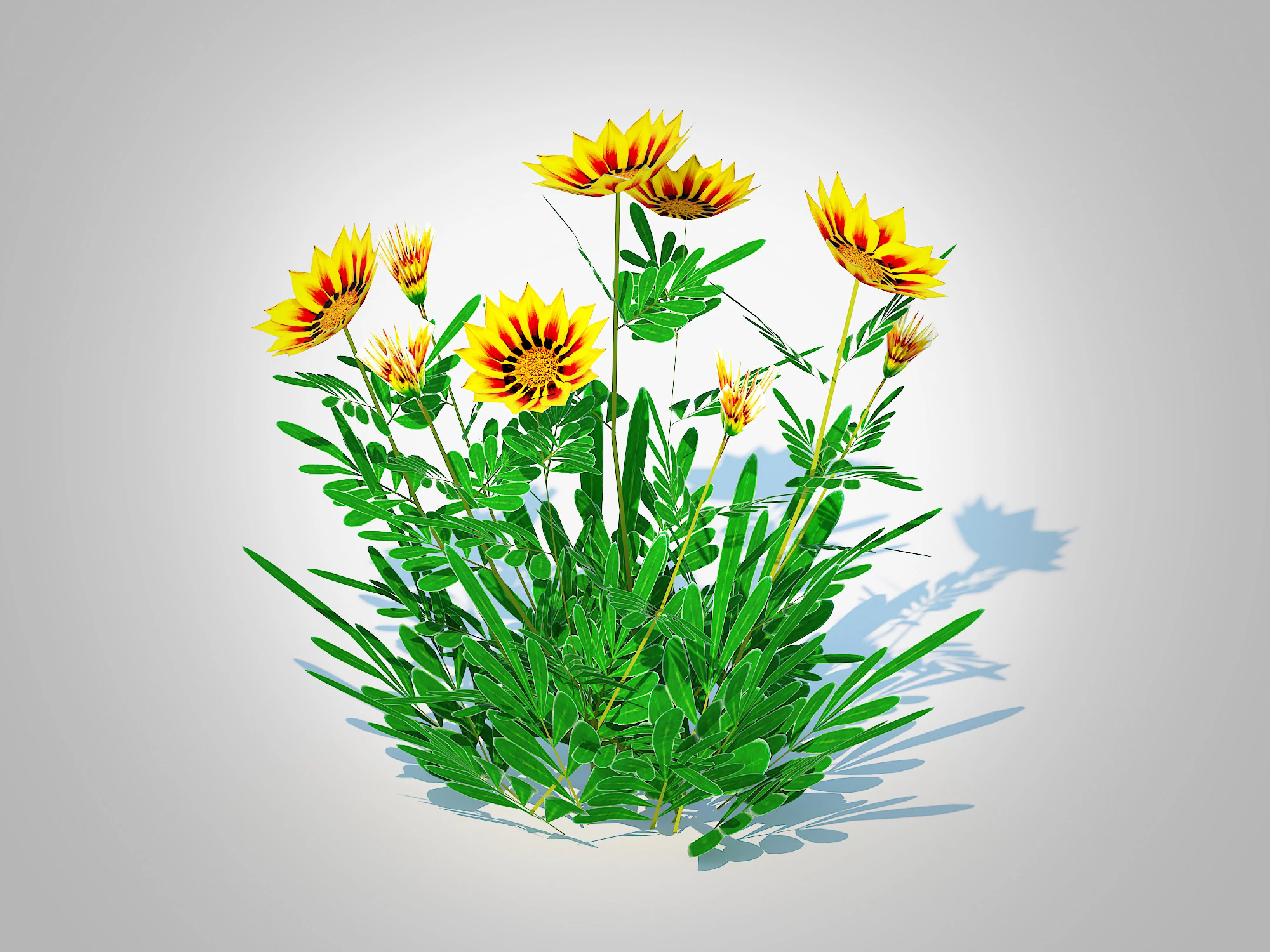 Gazania rigens Daybreak Yellow 3D Model .c4d .max .obj .3ds .fbx .stl .blend 