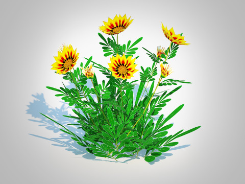 Gazania rigens Daybreak Yellow 3D Model