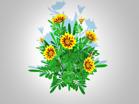 Gazania rigens Daybreak Yellow 3D Model