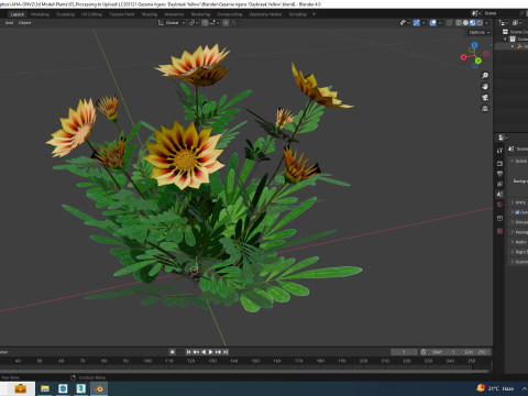 Gazania rigens Daybreak Yellow 3D Model