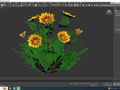 Gazania rigens Daybreak Yellow 3D Model