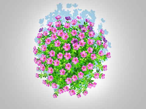 Geramium - pink cranesbill Modèle 3D