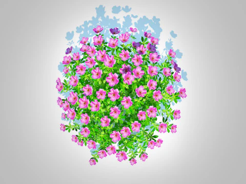 Geramium - pink cranesbill 3D Model
