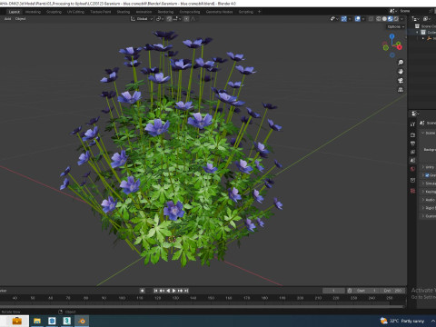Geramium - blue cranesbill Model 3D