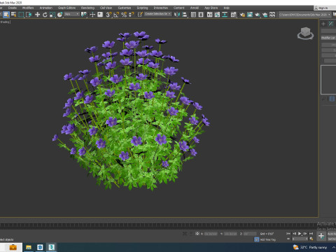 Geramium - blue cranesbill Model 3D