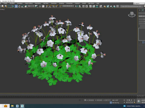 Geranium - Boikovo Dwarf Cranesbill 3D Model