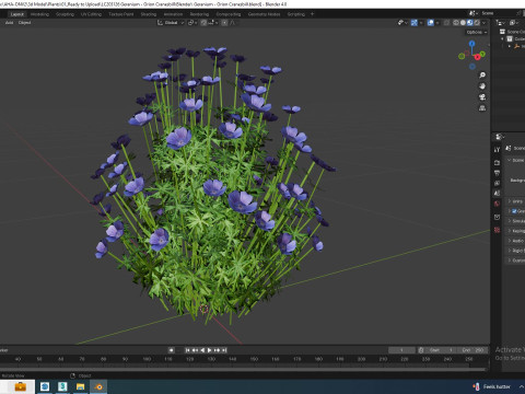 Geranium - Orion Cranesbill 3D Model