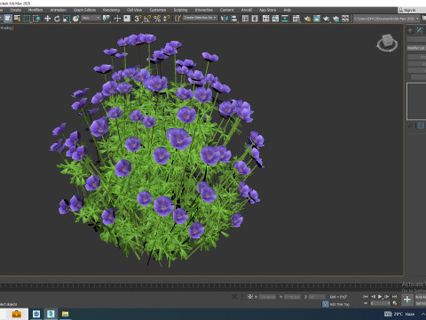 Geranium - Orion Cranesbill 3D Model