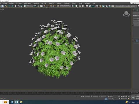 Geranium - white cranesbill 3D Model