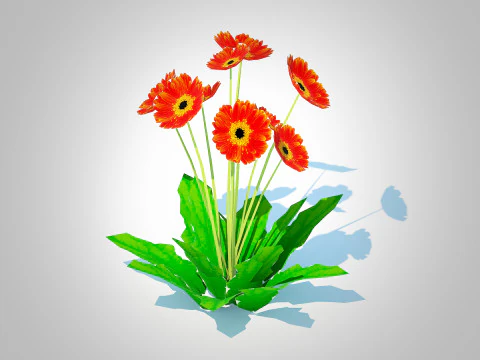 Gerbera - Gerbera Stokrotka Kwiat Pomarańczy Model 3D