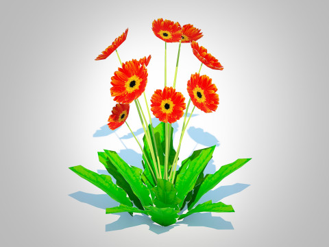 Gerbera - Gerbera Daisy Orange Flower 3D Модель